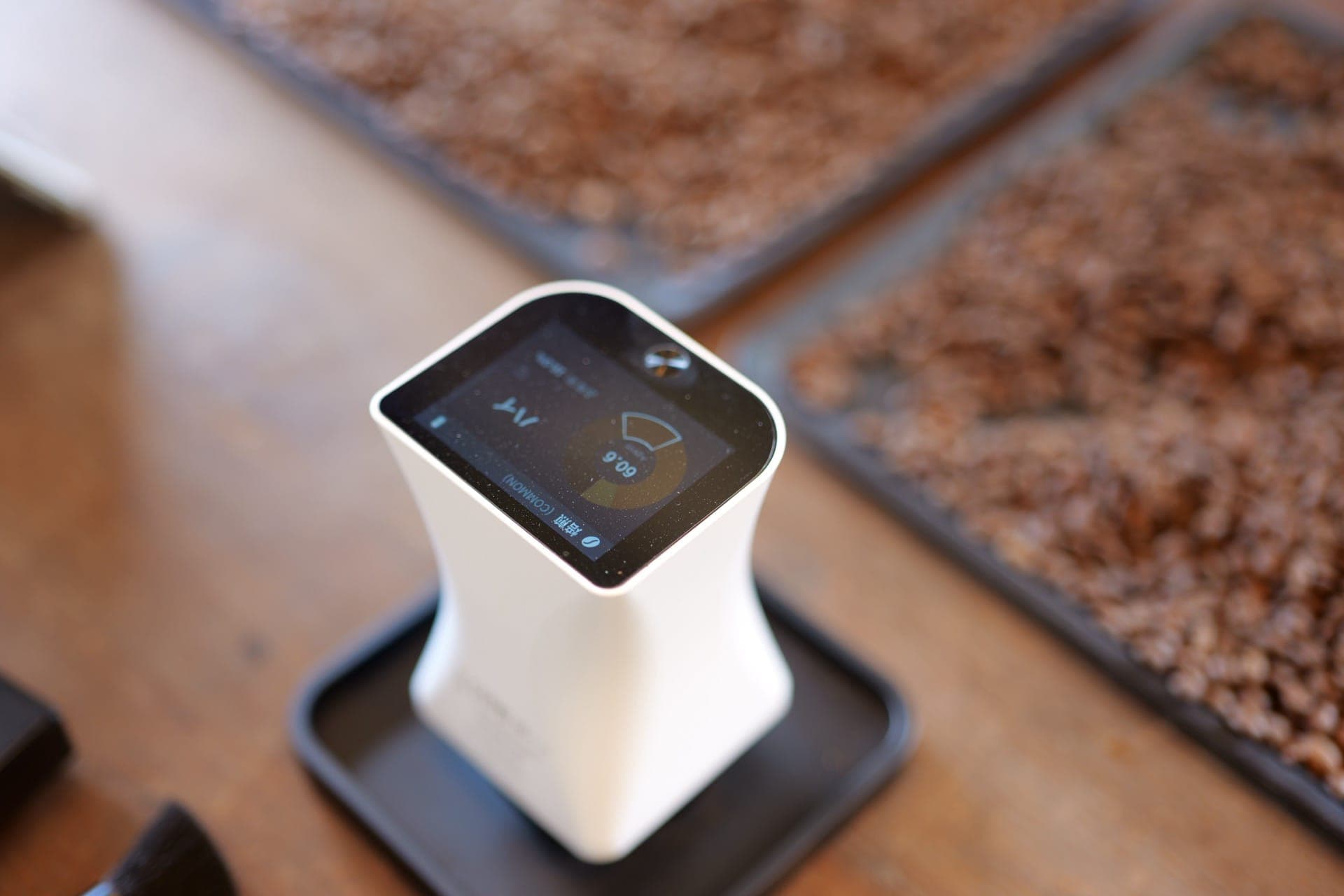 ブラジル セラード