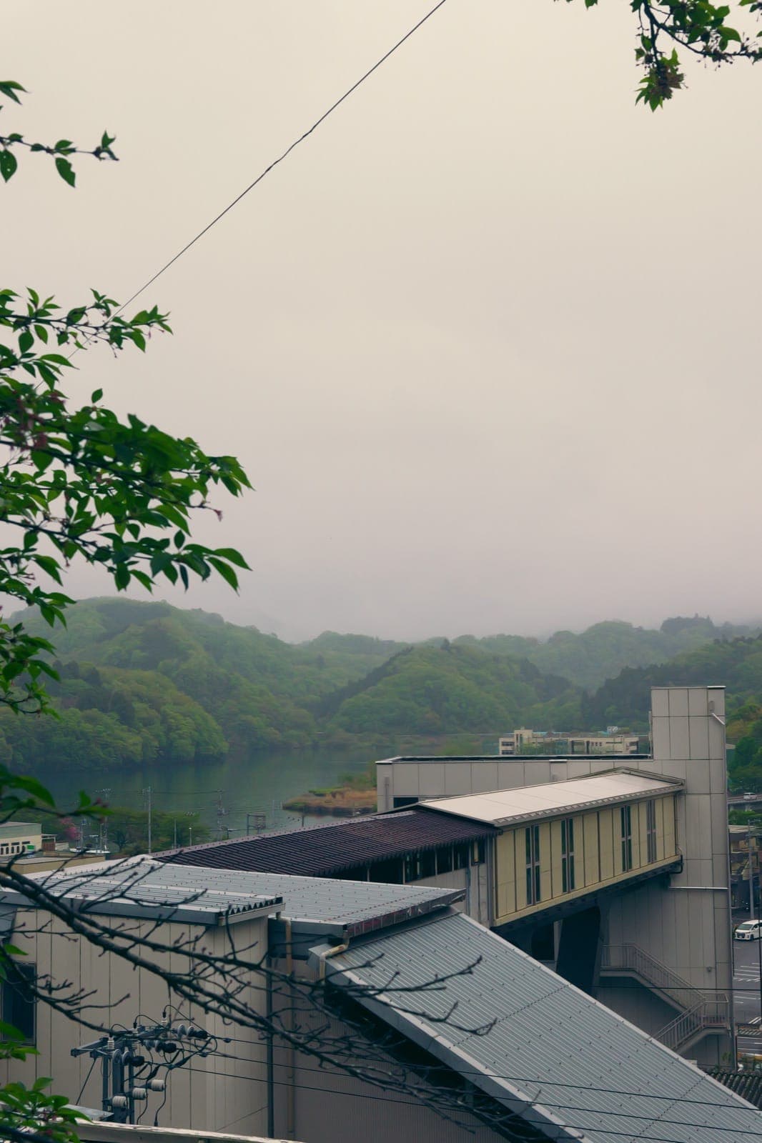 2025年4月の朝の景色