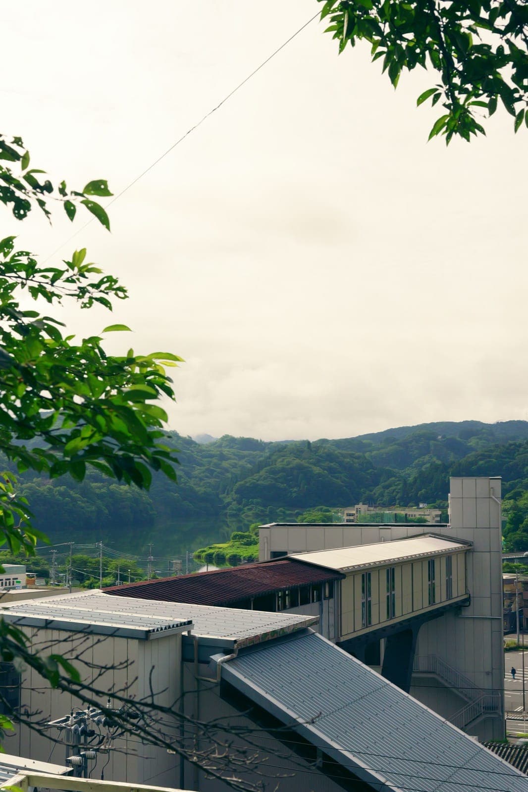 2025年6月の朝の景色