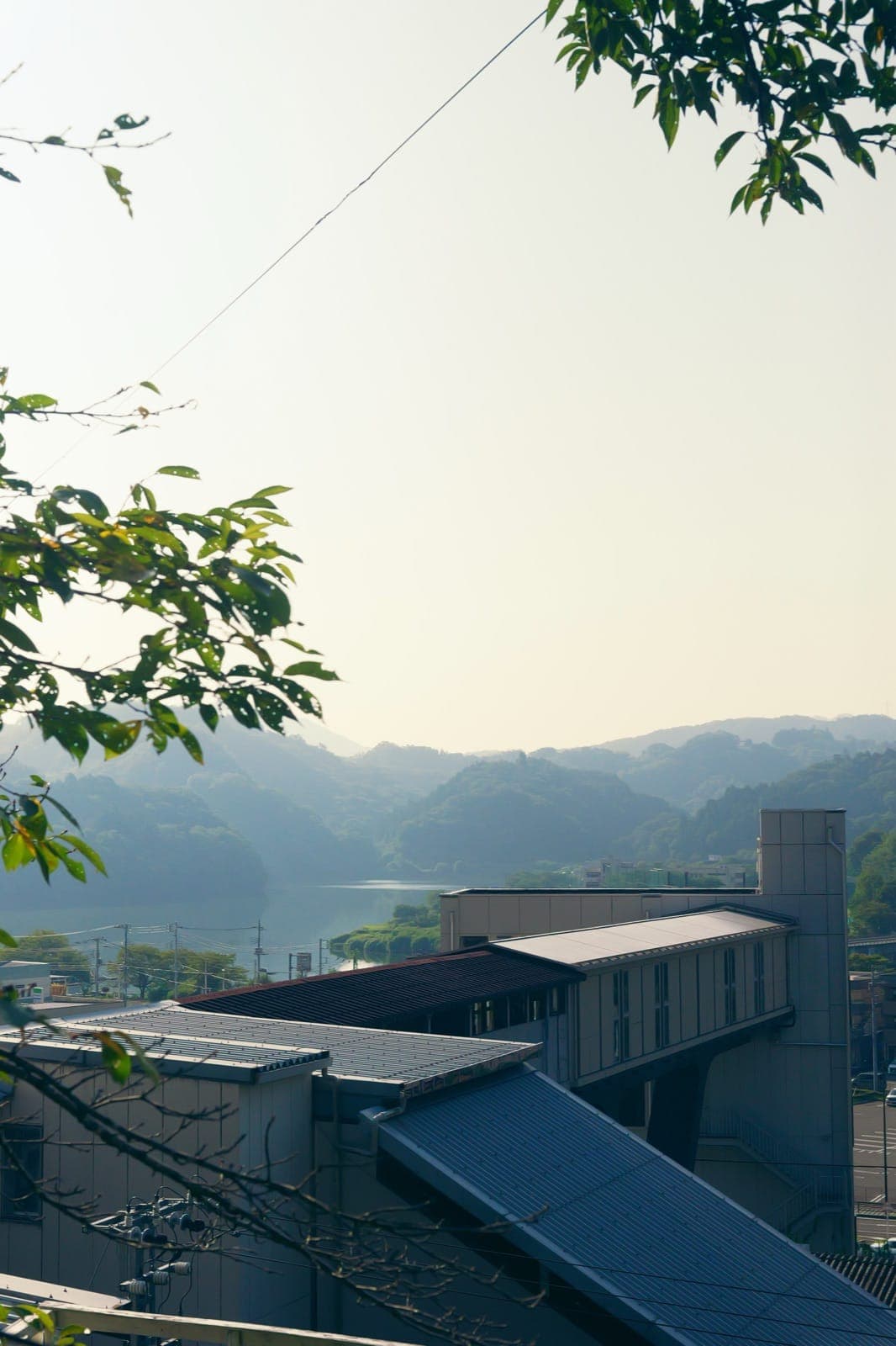 2025年8月の朝の景色