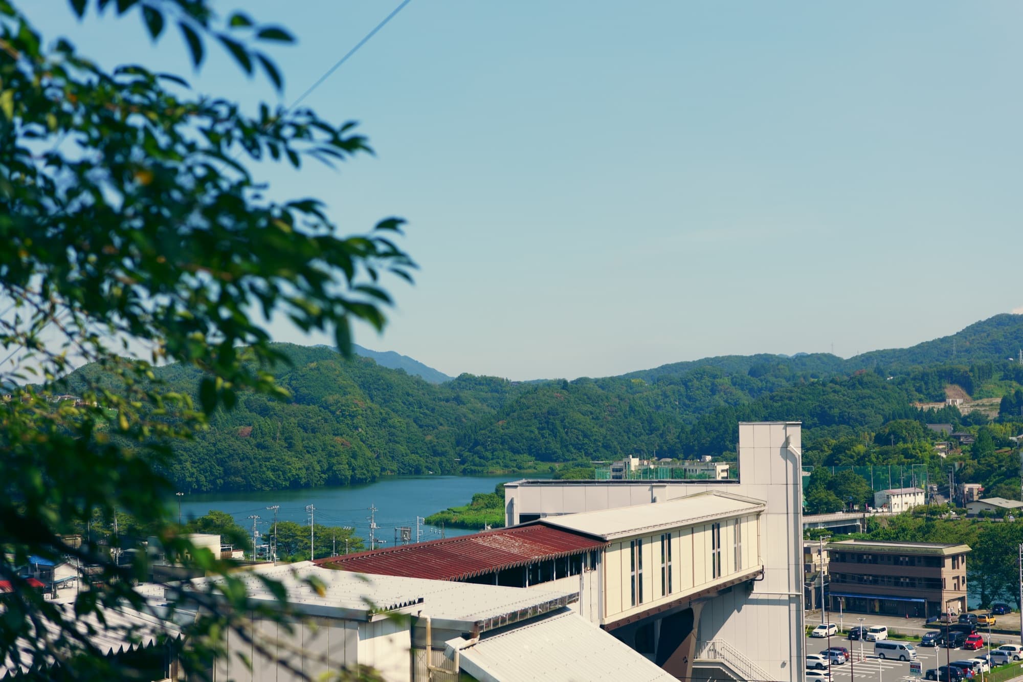 夏の緑と湖の景色